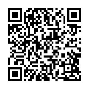 我们战家也很久没有出过金刚级别的强者了……二维码生成