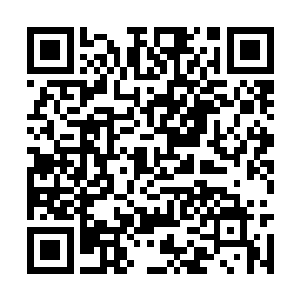 我们战鹰一族的确不可能再出现像领主这样的天才二维码生成