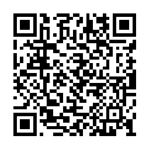 我们所有人都以为三十六洞天福地再次对外开放二维码生成