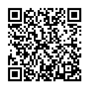 我们手上的名单上求生星已经没了我们要找的人二维码生成