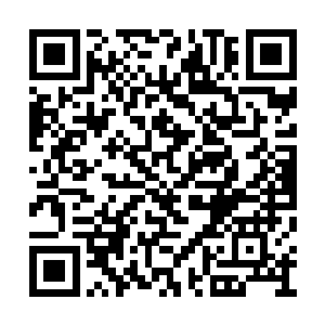 我们才到达了林远市和海滨市交界处的那个军区二维码生成