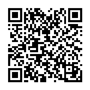 我们才是土包子啊……寻常人一辈子见不到的东西二维码生成
