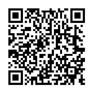 我们才需要在离开前把以后用不到的东西全他妈处理掉二维码生成