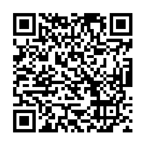 我们打架了回到家您可是只会不问是非对错只揍我们二维码生成