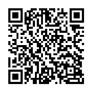 我们把他带回家去找太医老爷爷给他治好好不好二维码生成
