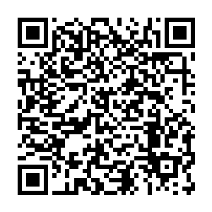 我们把母体树生育出来的尸兄器官伪装成人体器官提供给各大医院二维码生成