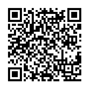 我们把积极对伤者治疗得到张锋家人的谅解等有利情节提出来二维码生成