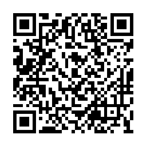 我们撒腿开始朝庞道长给指的那个方向一路猛跑二维码生成