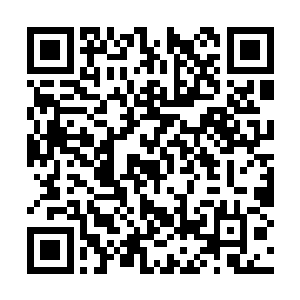 我们放出去的无人机应该还是造成了一定的震撼性二维码生成