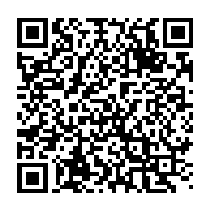 我们新井并没说要用一个固定的价格来收购您渔获中最好的那一部分二维码生成