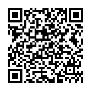我们族长让我前来拜见您的目的就是想要投奔您二维码生成