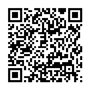 我们日族和月族保证以后星族不会找您半点儿麻烦二维码生成