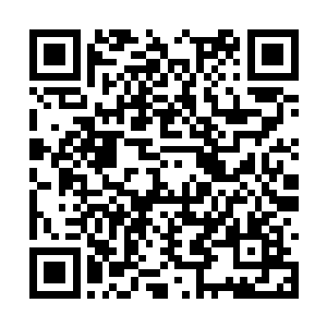 我们早就已经摸清楚了所有在外圣灵的情况和下落二维码生成