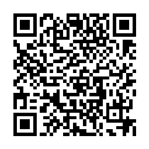 我们是……是洪先生的秘书……他带我们进来的二维码生成