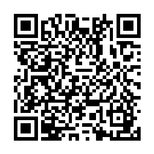 我们是不是应该告诉一下观众刚才到底发生了什么二维码生成