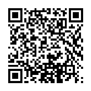 我们是不能将李二蛋当成犯罪嫌疑人抓起来进行审讯的二维码生成