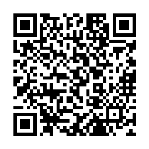 我们是伊利家族的人……族长大人也是一位正式巫师二维码生成