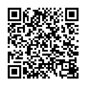 我们是因为你钟校长的面子才答应做这件事情的二维码生成