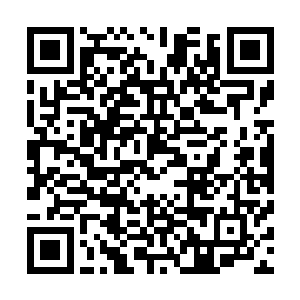 我们是天仙数量唯一不超过十个……算上帝君刚刚只有九个二维码生成