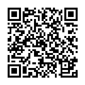 我们是真没想到这样一个博览会能起到这么好的效果二维码生成
