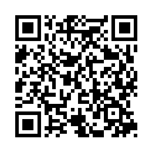 我们暂且将这颗中间的苹果当做是我们的位面二维码生成