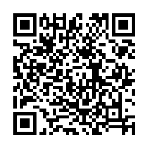 我们最少歼灭了苏联人在西伯利亚飞机总数的三分之一二维码生成