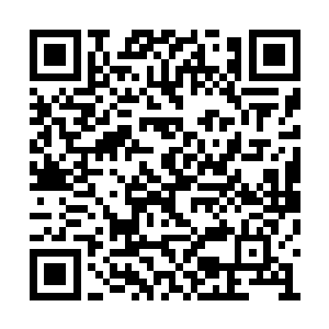 我们本就不是同一种人……我追求的是皇图霸业二维码生成