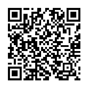 我们本来做梦都要想着以后会被它们报复呢……太好了二维码生成