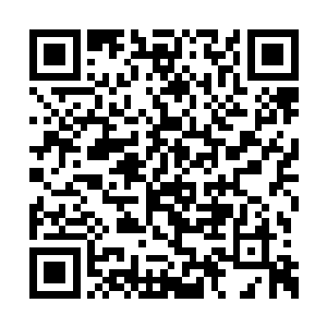 我们李家好不容易出了一个名震大陆的年轻强者二维码生成