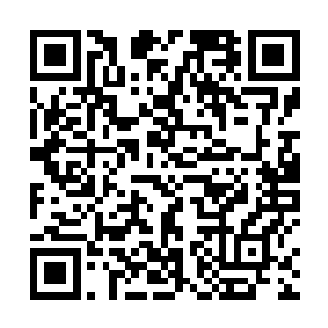 我们村一连几天都发生了符猪和符鸡莫名其妙死亡事情二维码生成