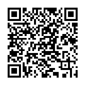 我们柳家也不能让我们的客人在我们的地盘上出事……二维码生成