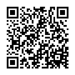 我们柳生家族和佐藤家族之间的关系已经名存实亡二维码生成