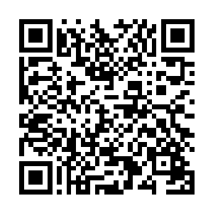 我们根本不清楚眼前这个家伙究竟有着多么强大的力量二维码生成