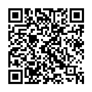 我们格森王国中可是好不容易才出了长阳翔天这么一个天才二维码生成