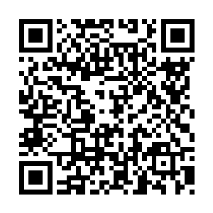 我们欠表妹那么大的人情……当初如果不是表妹二维码生成