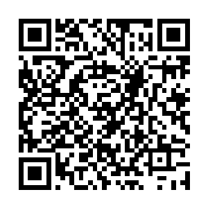 我们正气门所在的无相星倒是有个天庭种植灵草的灵岛二维码生成