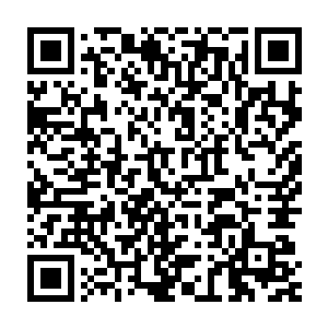 我们每一个人其实过了七年之后便完全等于说是另一个全新的人了二维码生成