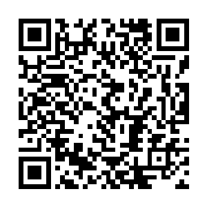 我们每一年都无法像是其他同僚那样赚取更多的分数二维码生成
