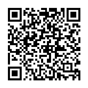 我们每个人都可能是高层世界遗落到这世界的苏醒者二维码生成