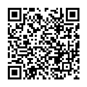 我们每位血族的成员都会与血族亲王签订一个契约二维码生成