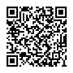 我们每天在生死堂树堡外围化纳的散逸游离威能二维码生成