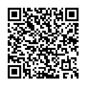 我们汇集在世界山上的五百名圣帝就会全部过来二维码生成