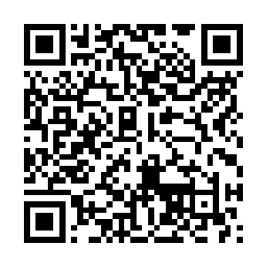 我们没有后备的军官骨干是没有办法跟张毅抗衡的二维码生成
