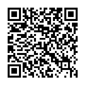 我们法兰西高贵的血统也不是低贱的中国人可以比拟的二维码生成