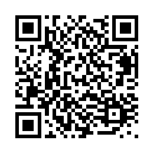 我们派人去辛佳的家和学校都查过了二维码生成