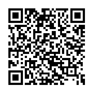 我们派出去的弟子应该已经将恶魔舍利拿到手了二维码生成
