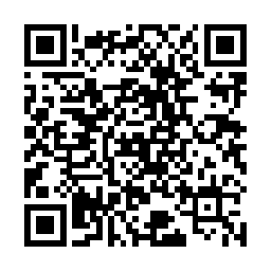 我们海马族的族人再也不会是被人瞧不起的低贱的种族二维码生成
