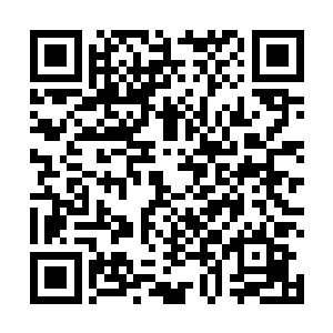 我们消化吸收了黑幕制造者和洪潮军团带来的大量技术二维码生成