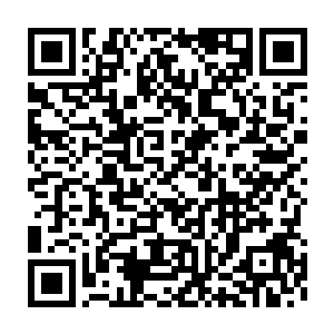 我们烈焰佣兵团的尊严和荣誉绝对不能让贪婪王这般肆无忌惮的踏践二维码生成