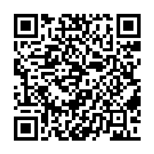 我们献的都是我们自己苗圃普育出来的珍贵品种二维码生成